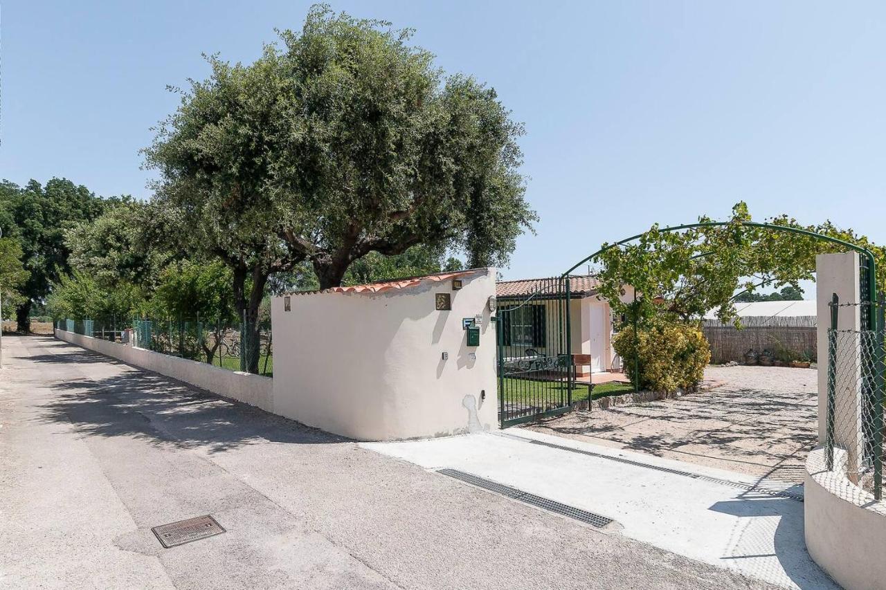 La Cesa Holiday House San Felice Circeo Buitenkant foto